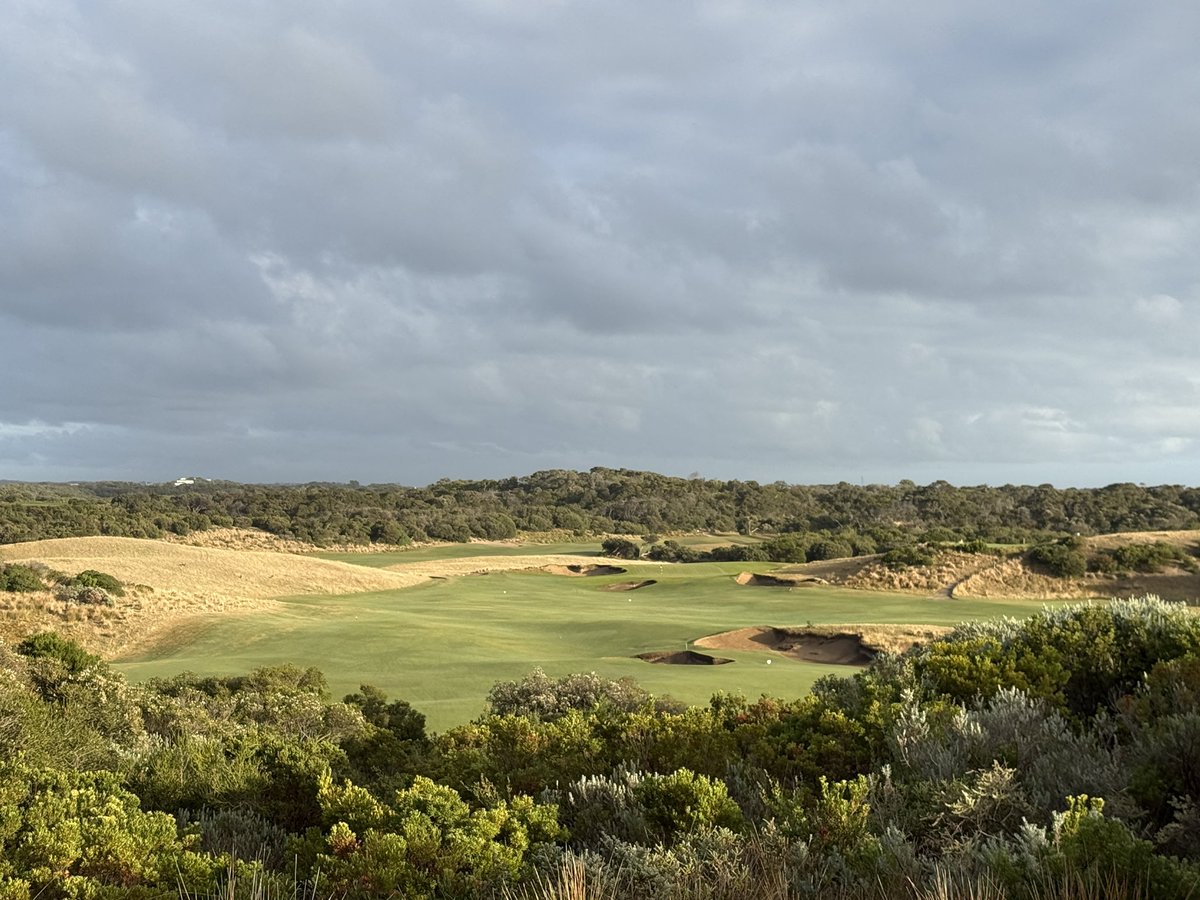 Rick Golfs tweet media