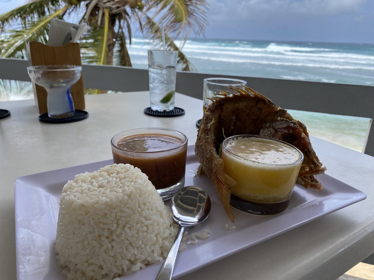 Dr. E.G. Vitulli Ph.D. tweet media