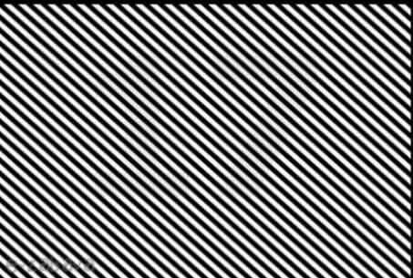 يزيد الراجحي tweet media