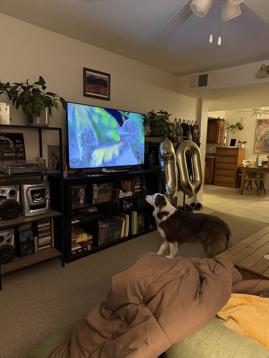 Adam Marsh tweet media