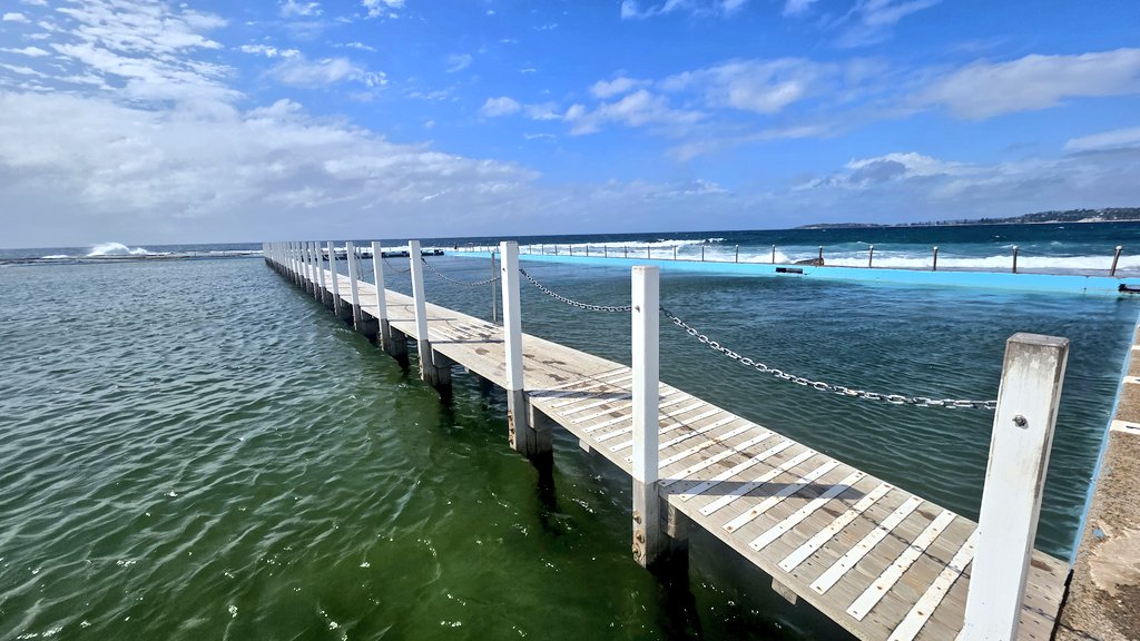 Andrew SMEE tweet media