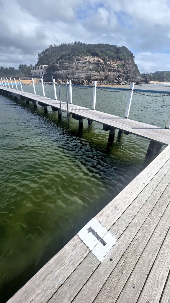 Andrew SMEE tweet media