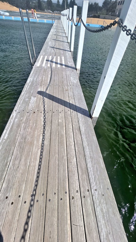 Andrew SMEE tweet media