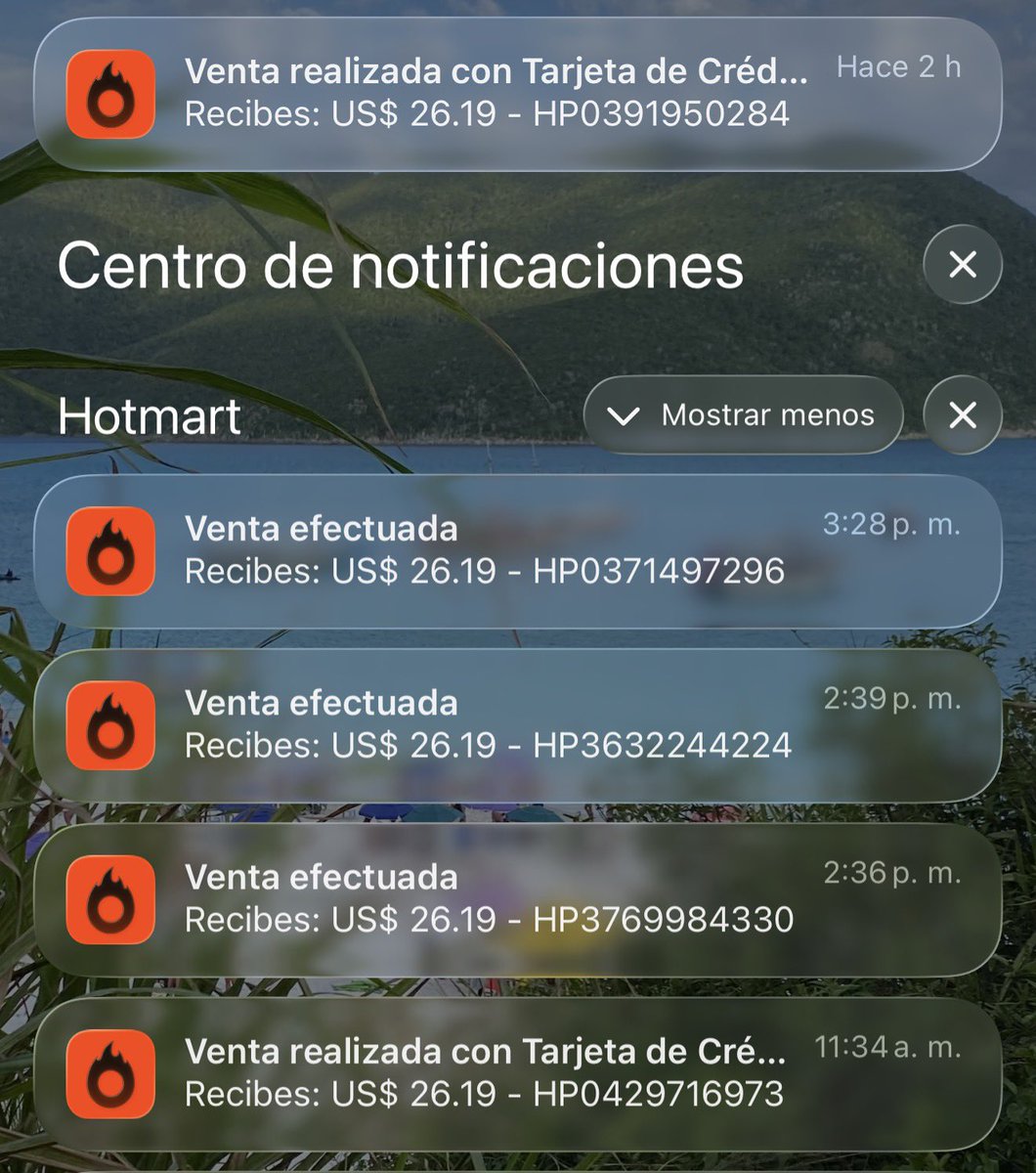 Nico Passini tweet media