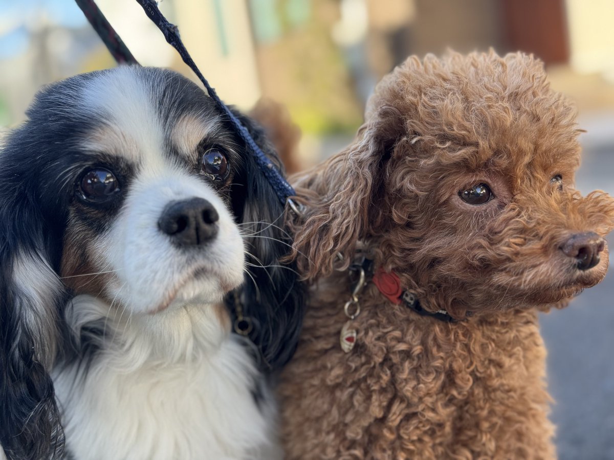 門田充宏 / Mitsuhiro Monden tweet media