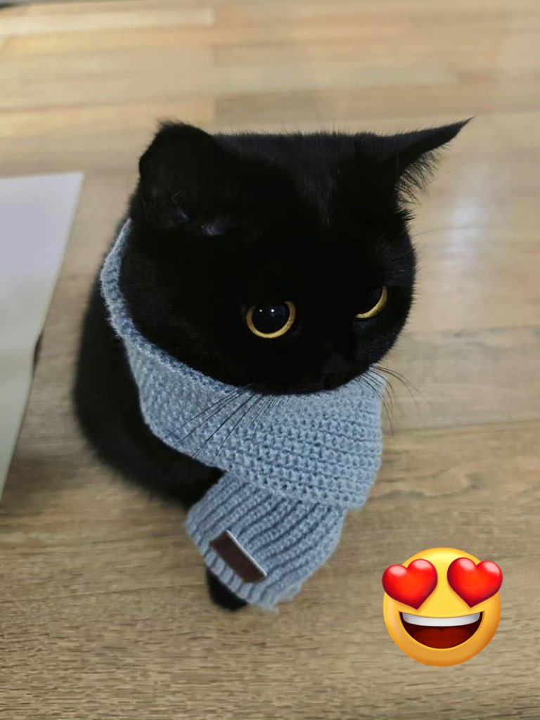 Deep Thoughts 💭 tweet media