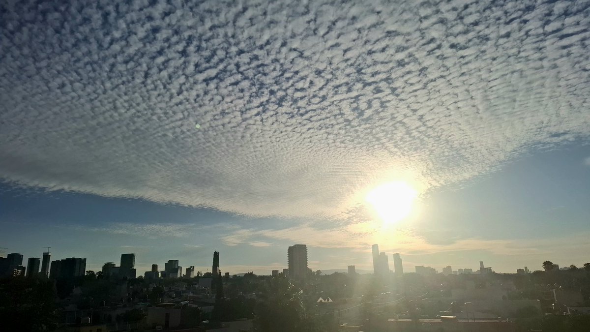 sar2's tweet photo. #atardeceres2026 borregosos https://t.co/AzIbqpExFO