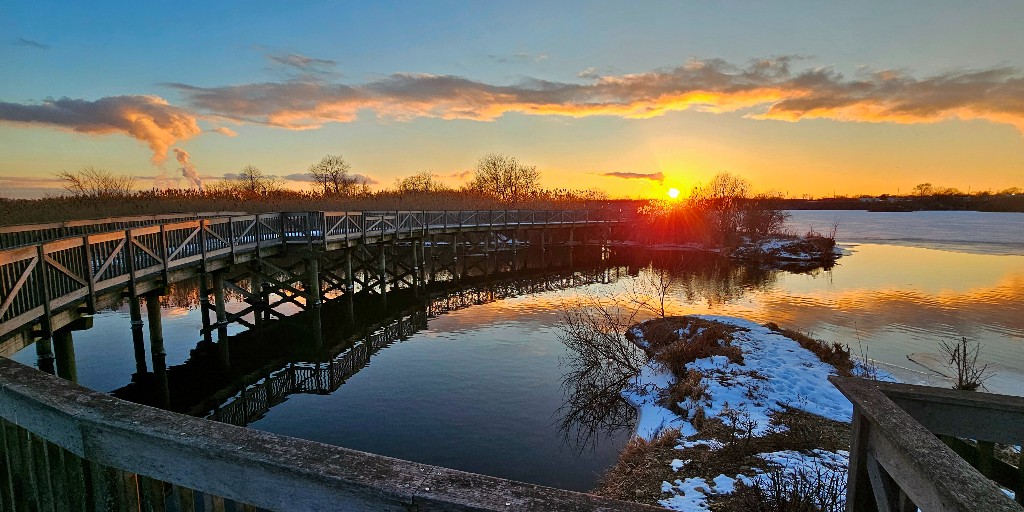 WillCoForestPreserve tweet media