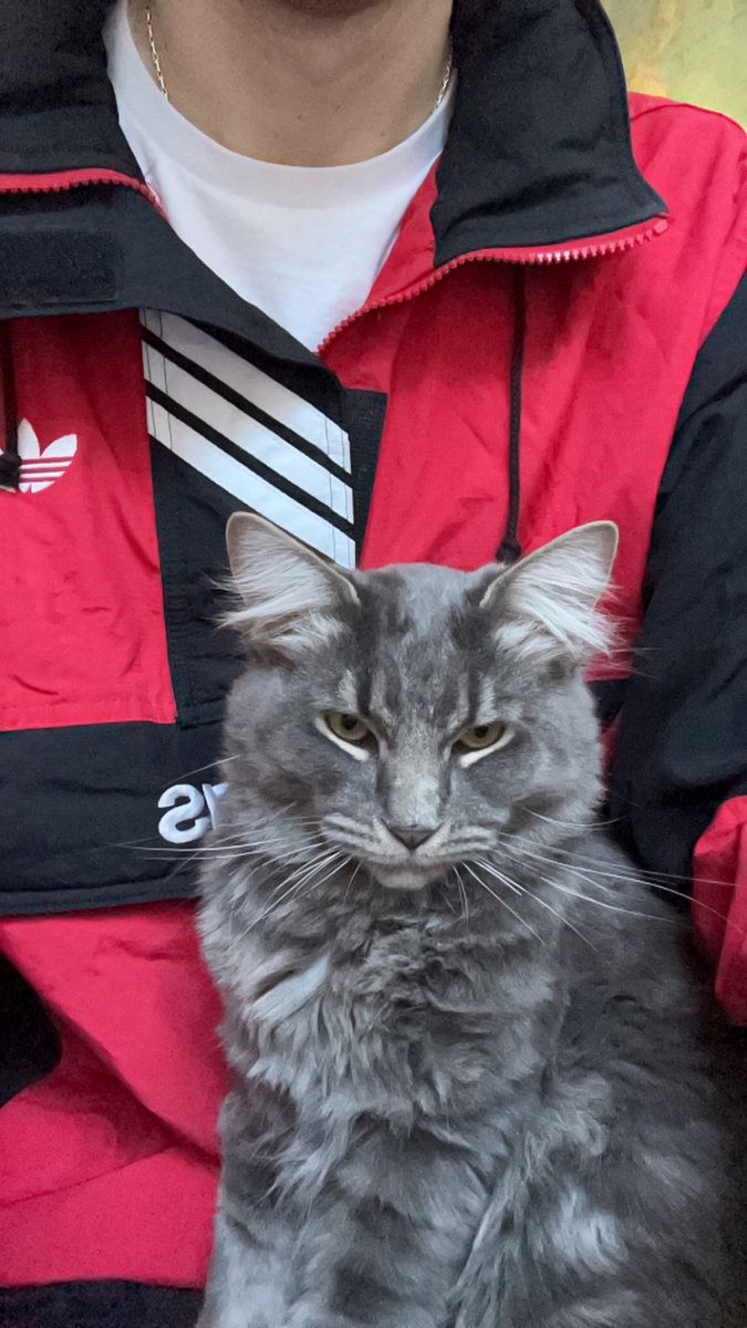 fetterman is a loser tweet media