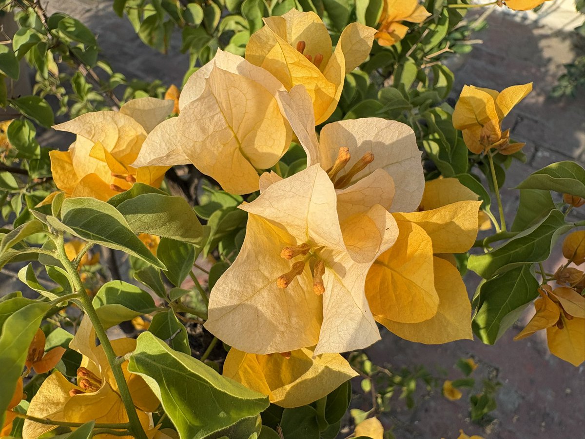 Rashi Grover 💜 tweet media