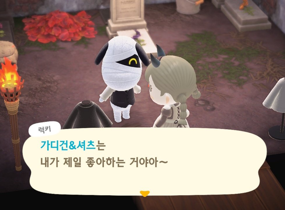해얀 tweet media
