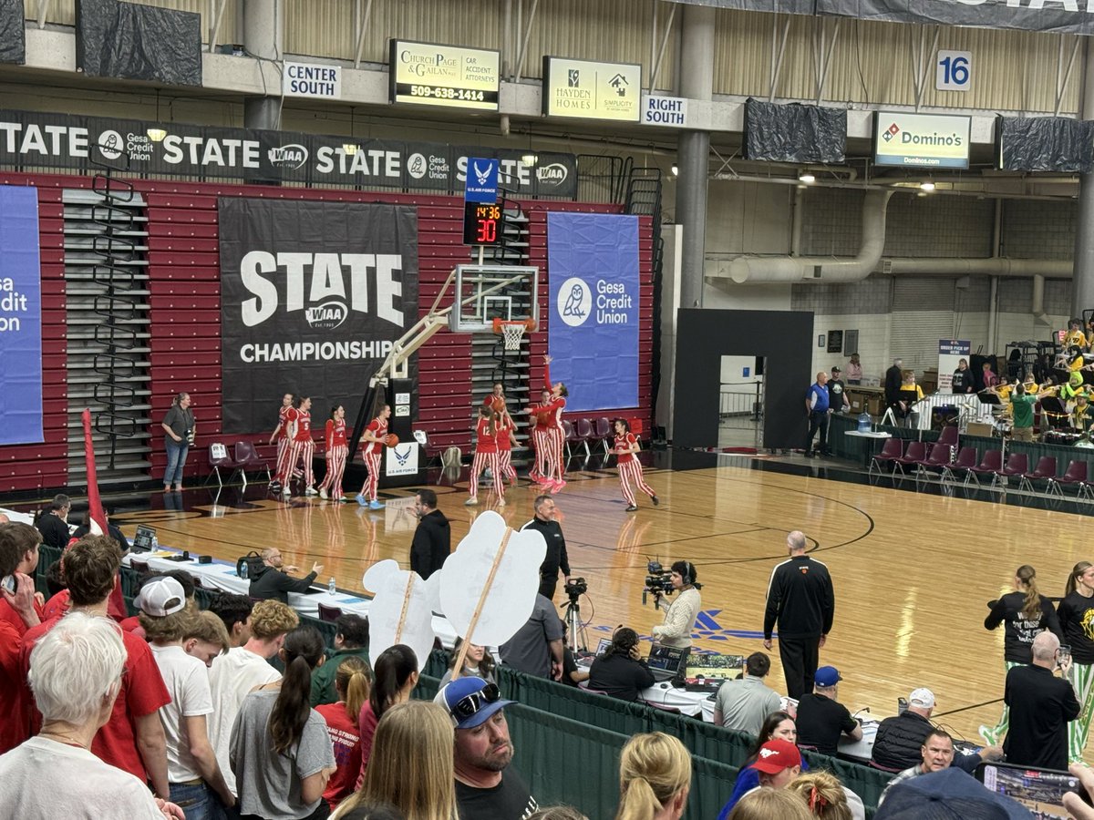 Sean Hall tweet media