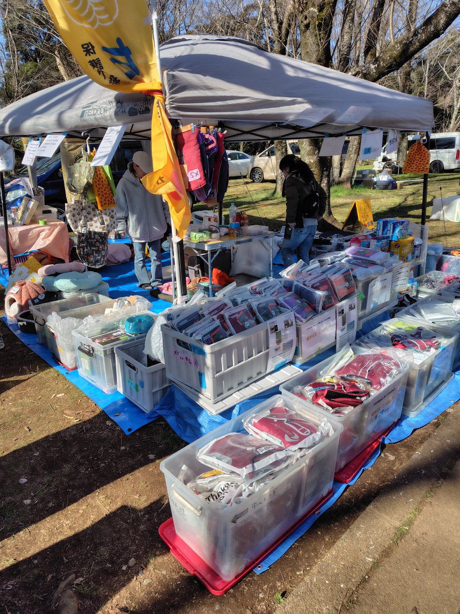 ちばわん(犬猫保護) tweet media