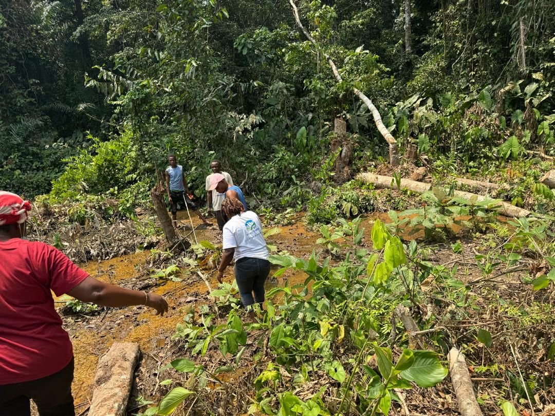 Together4Climat's tweet photo. March 8 - International Women’s Day.  Rights. Justice. Action. For ALL women and girls.

At #TOGETHER, we advocate for:

🌍 women’s land rights
🌱 climate justice
👩🏾‍🌾 the leadership and action of rural girls in natural resource management.

#IWD2026  #WomenRights #ClimateJustice https://t.co/QwQIvn7Mm5