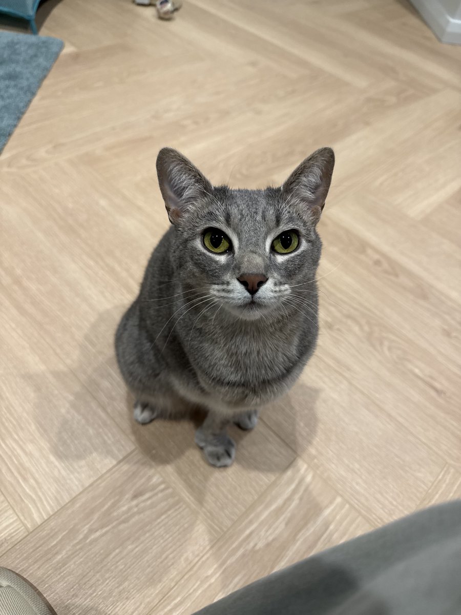 CACTUSPRlCK's tweet photo. @GraceSpelman another soup for the collection: rare 3 legged version https://t.co/uNF8fB0Y5x
