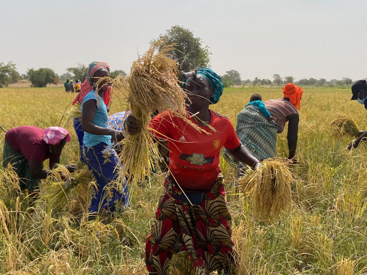 Enda Pronat: Protection naturelle des terroirs tweet media