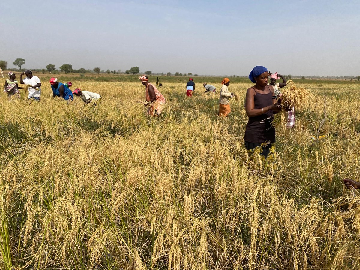 Enda Pronat: Protection naturelle des terroirs tweet media