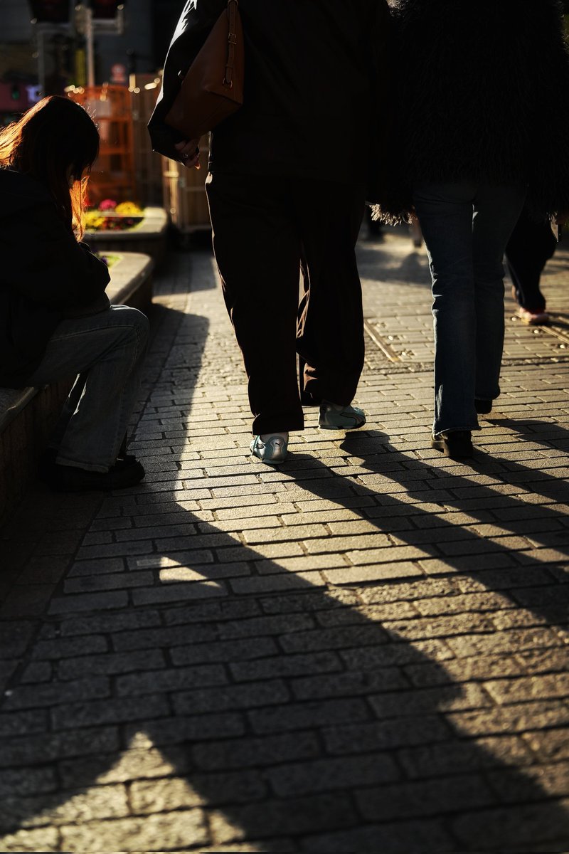 影
Z f + 35-150mm F2-2.8 Di III VXD

#Photoliker
#Zf