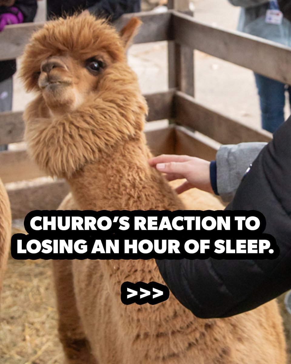 Cedar Point tweet media