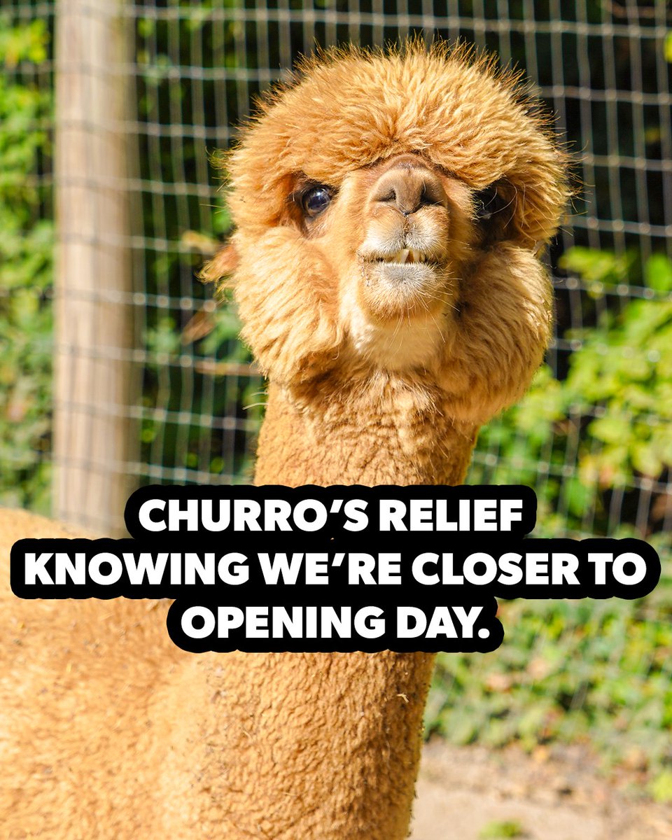 Cedar Point tweet media