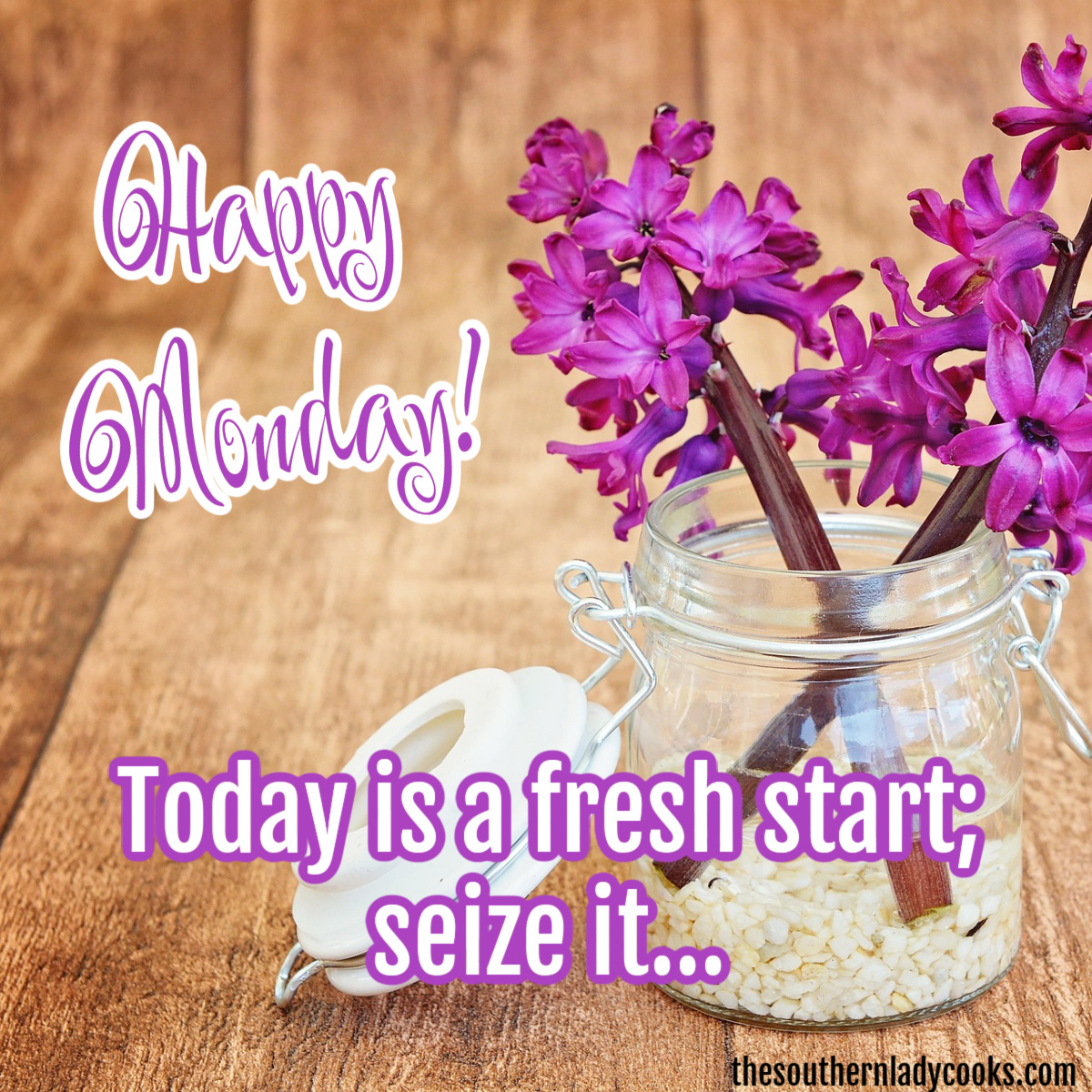 SouthLadyCooks's tweet image. Hello Monday! #MondayMorning