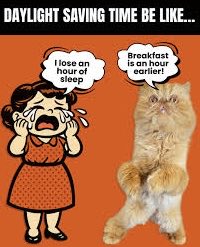 dcd728's tweet image. Two vastly different #views of changing to #daylightsavingtime #human vs #kitty
