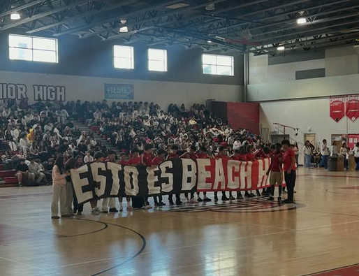 Beach High tweet media