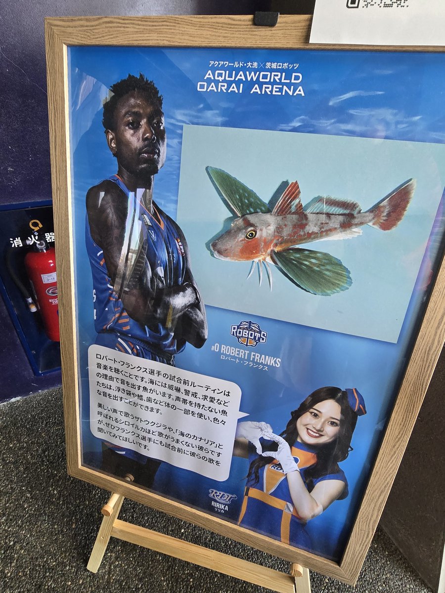 dolgucchi's tweet photo. ロボーー！！
ロボーー🤖！！

#アクアワールド大洗水族館 https://t.co/Kvd3YazXie