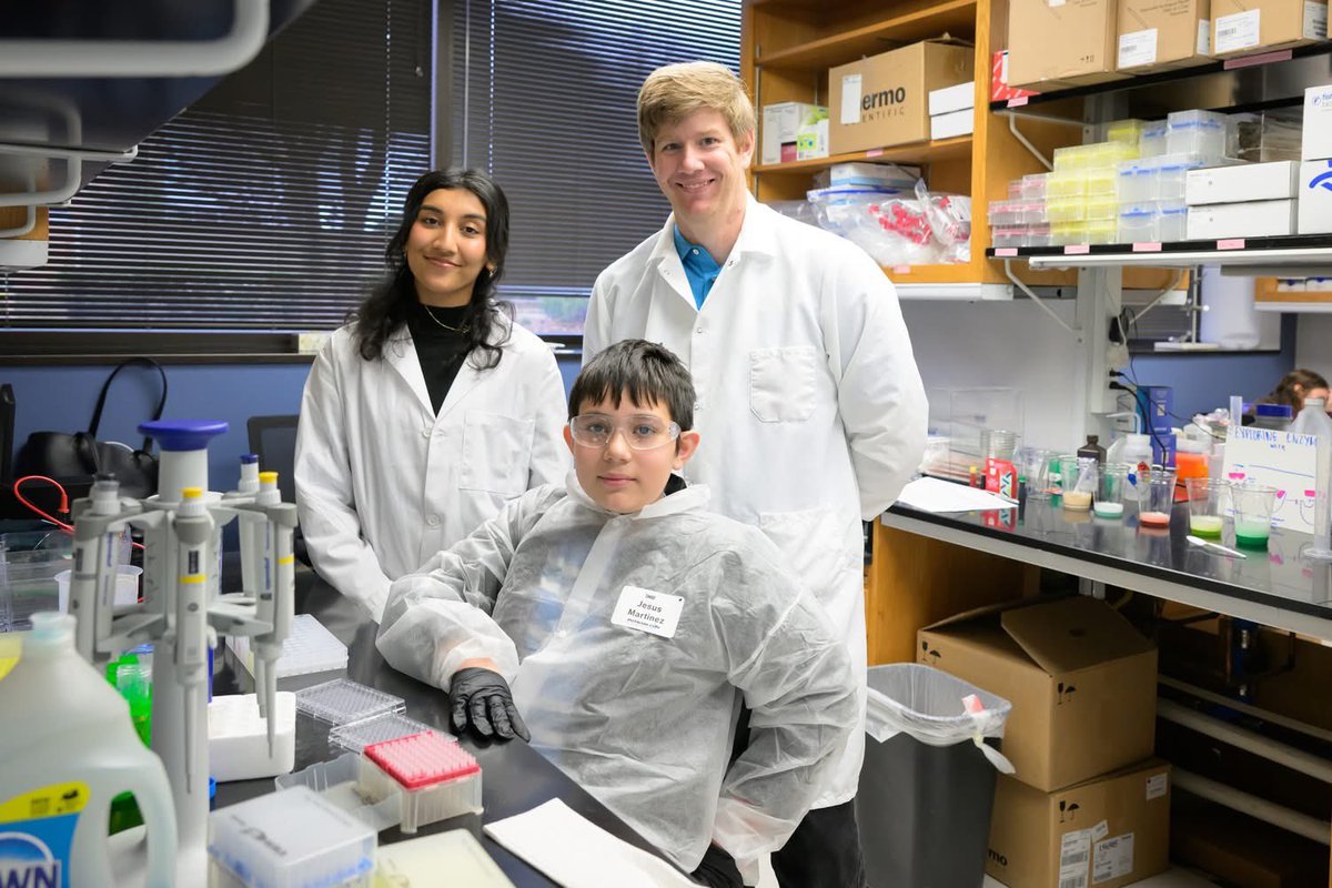 Dave Hughes tweet media