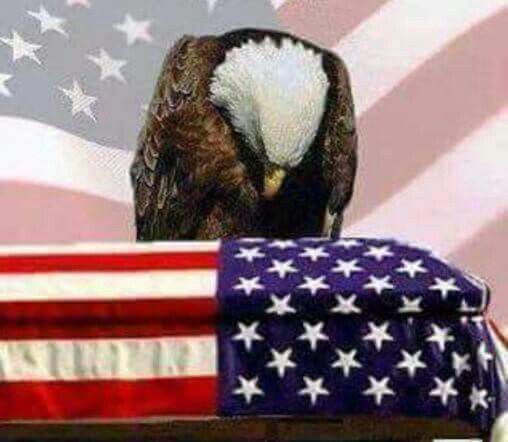 Tina B 🇺🇸 tweet media