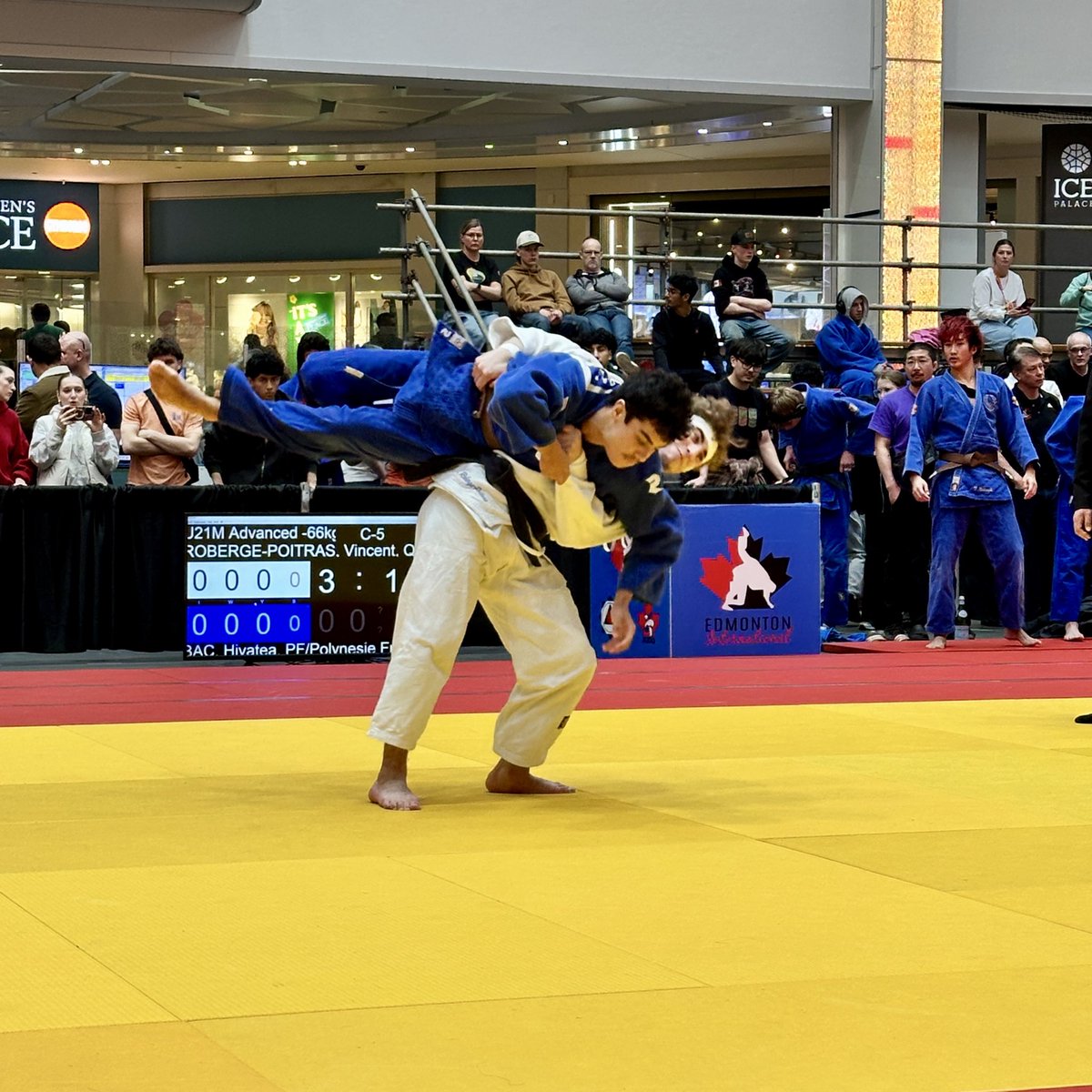 EdmIntJudo's tweet photo. U21 match time at the Edmonton International Judo Championship #EIJC2026 #judo https://t.co/4rVKk3aXbx