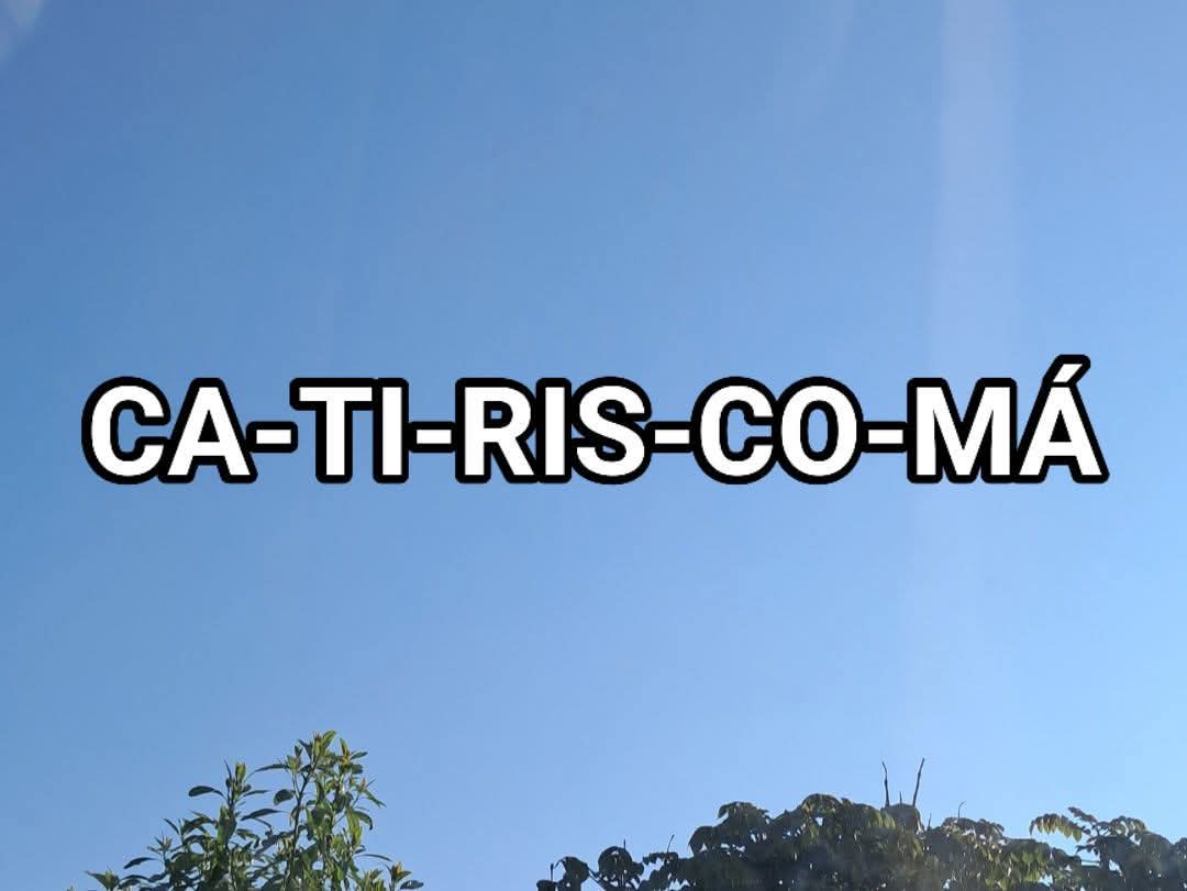 Suricato 💎 tweet media