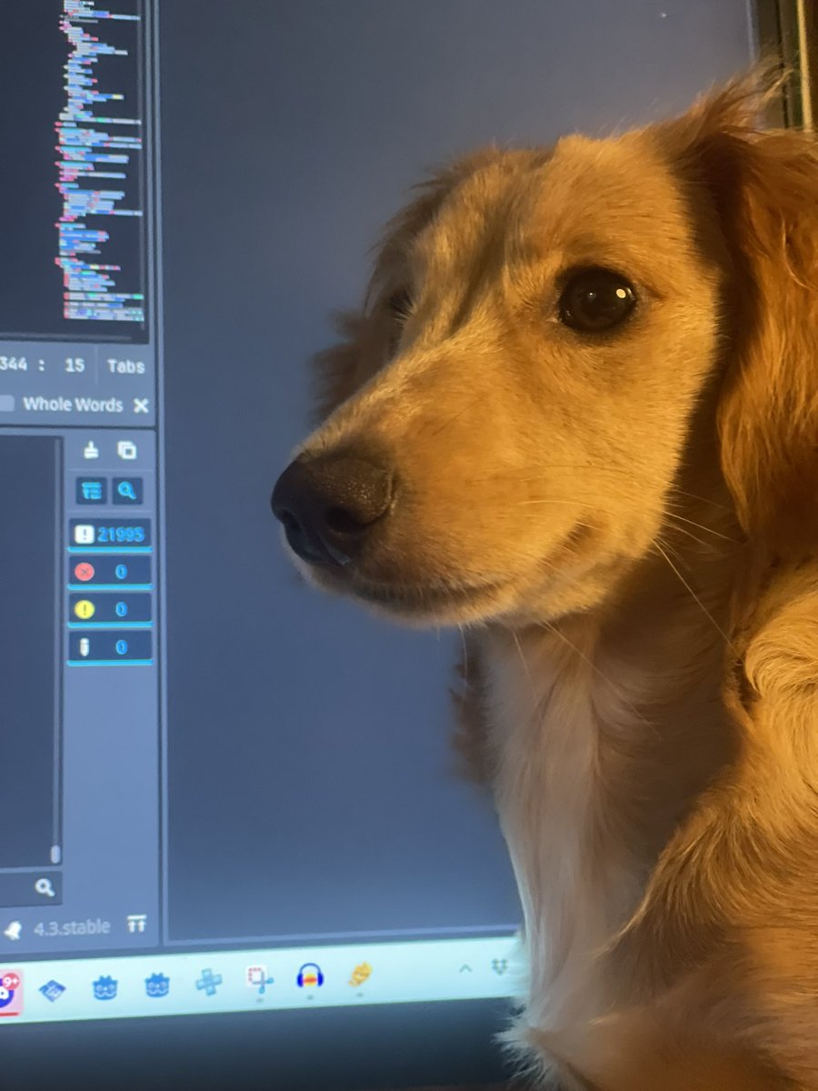 The Water Museum tweet media