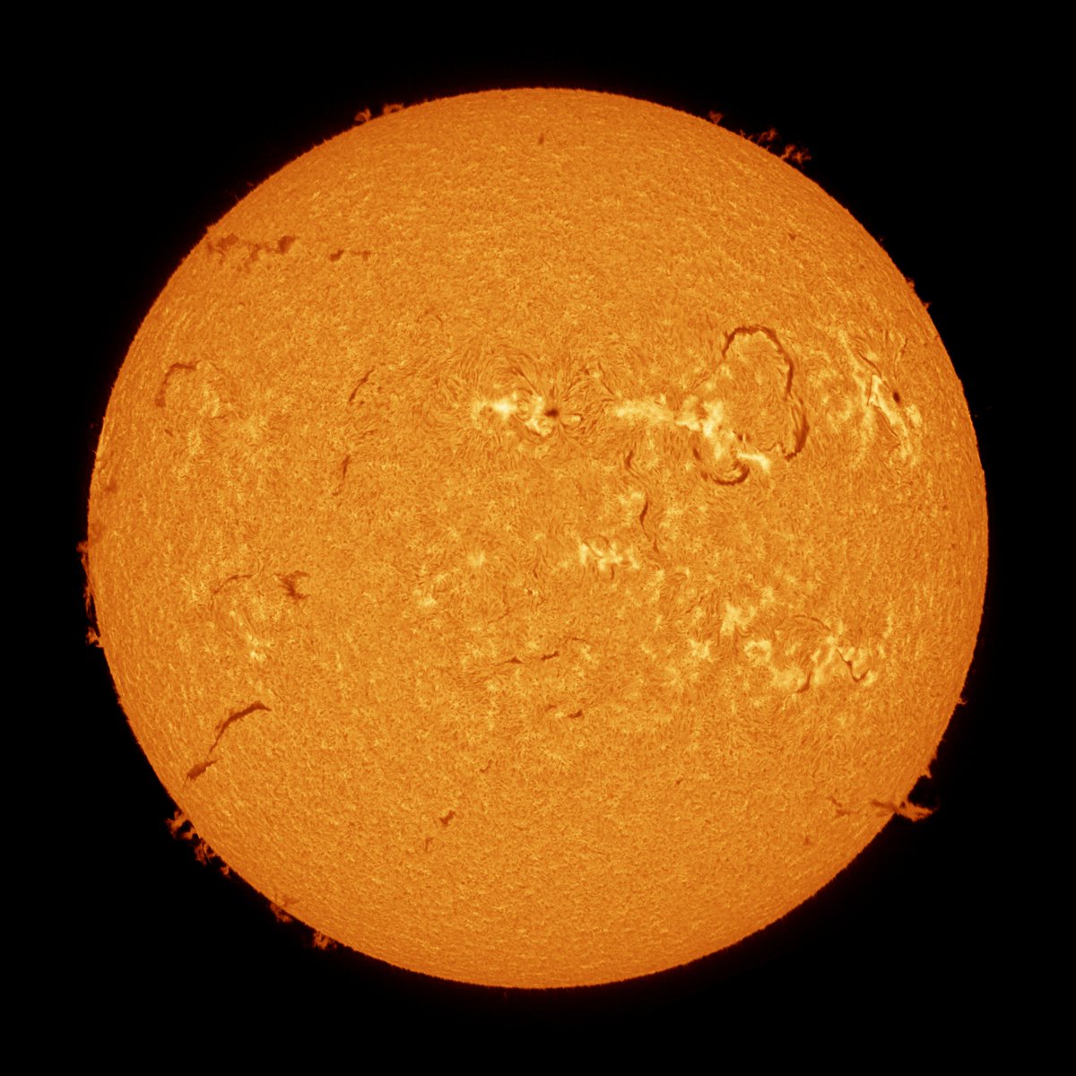 Mario 🪐🌒🌞🌌🔭🐸 tweet media