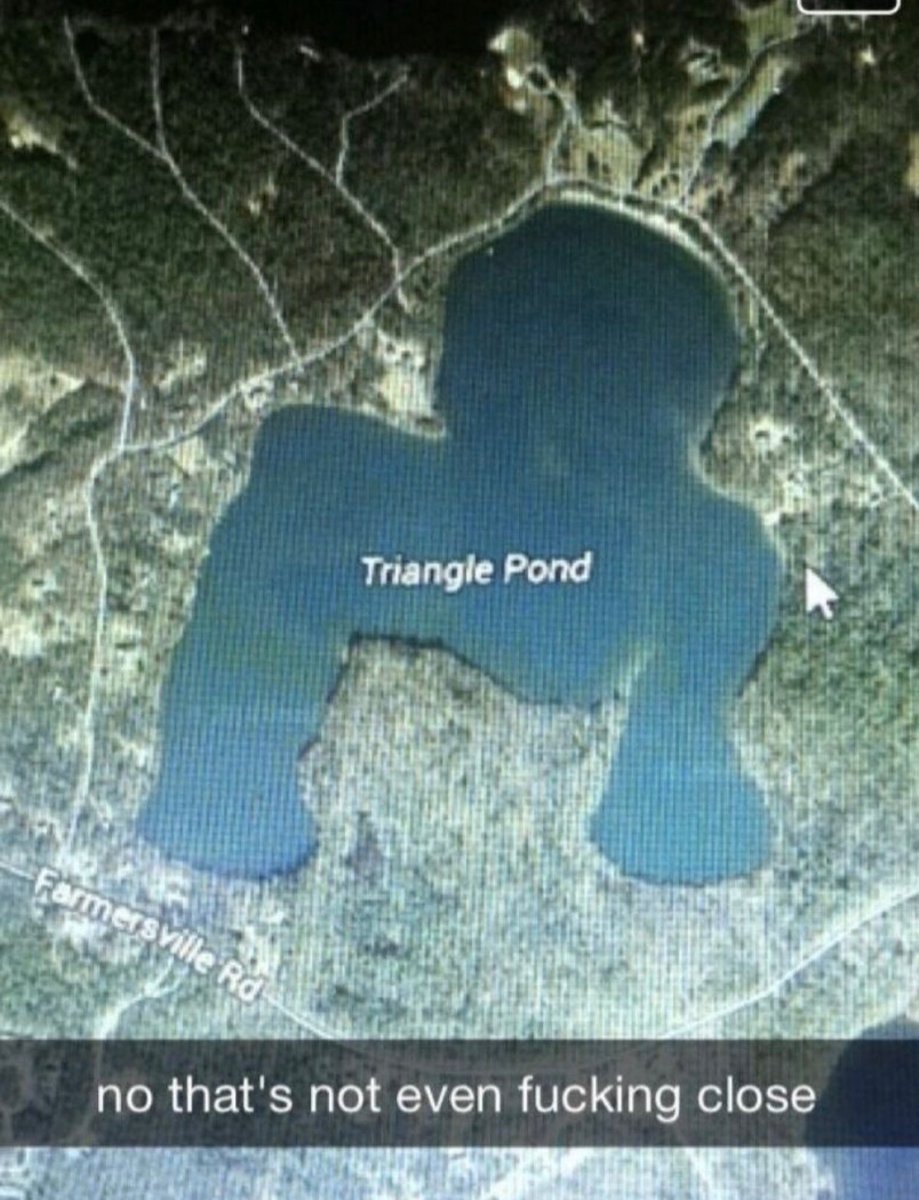 Respectful Memes (@respectfulmemes) on Twitter photo 