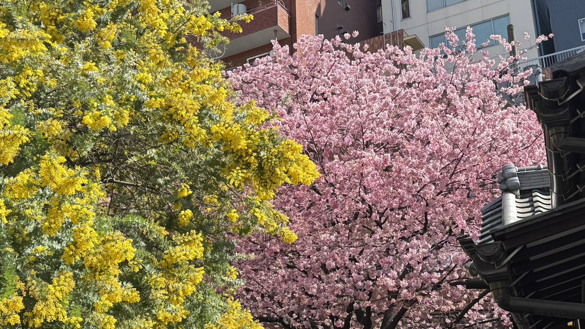 tan（ •ᴗ• ） tweet media