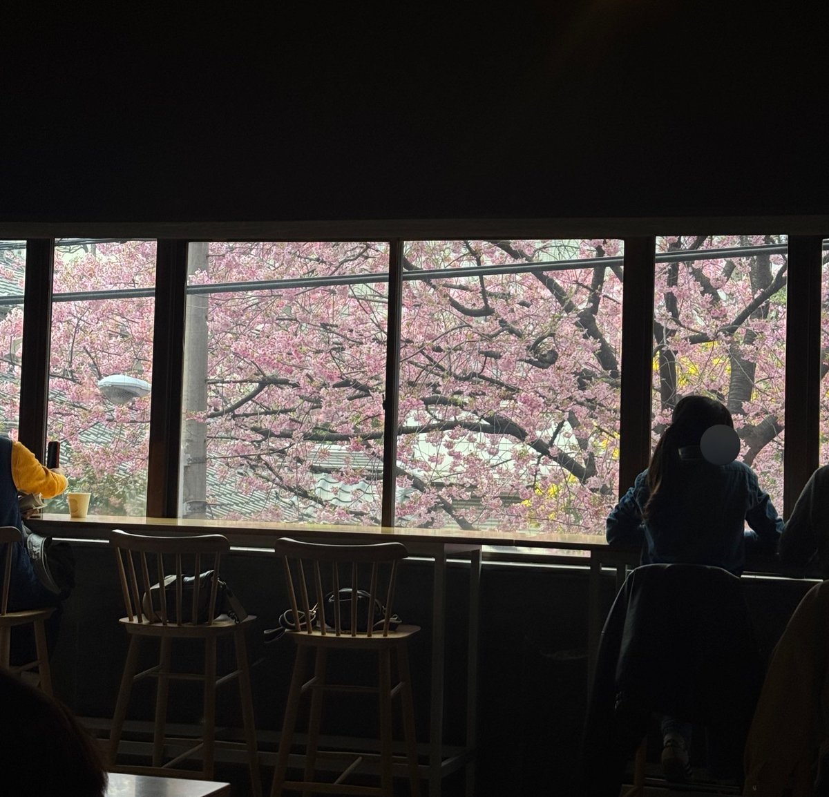 tan（ •ᴗ• ） tweet media