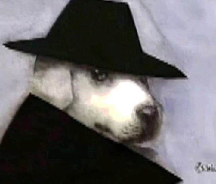 اي شخص يعرفله #ذيل مخلي صورته #الحقيقيه يحتفظ بيهه.ويسويله #ارشيف. بالقادم #تفيد اله انزل بيهم #منشورات. ونعلمهم شنو نعمة #العراق