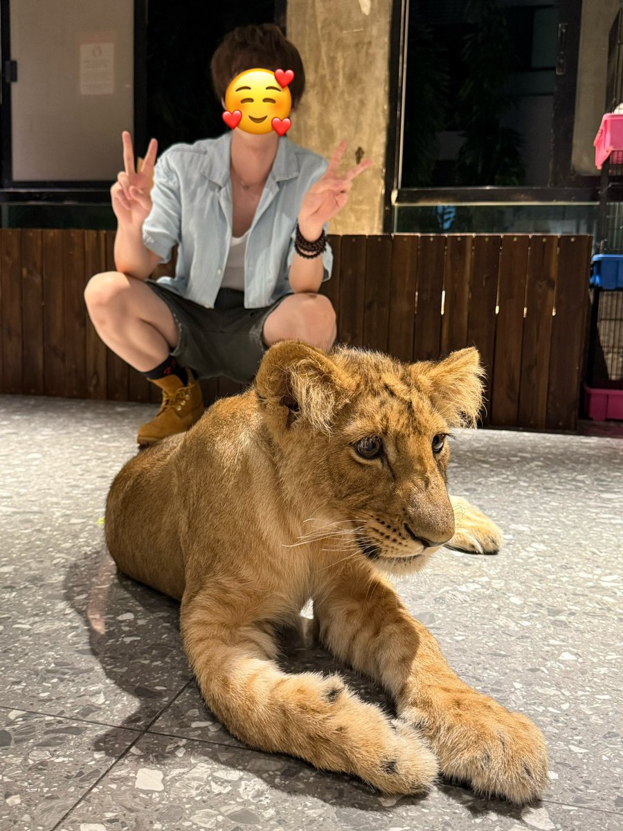 扫雷小天才 tweet media