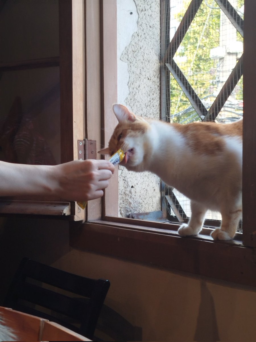 Celebrando el cumpleaños de Ten pintando gatitos con gatitos

justo como a él le hubiese gustado 🎂🐱💜

#HAPPYTENDAY
 #TEN_BDAY2026
#wayvchile