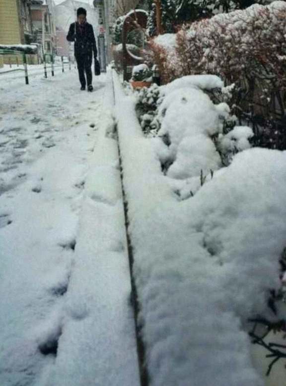 angely_rose88's tweet image. Just caught the buzz about Coach Yo! This inspiring figure is reshaping the landscape of coaching, empowering athletes with a fresh perspective. It's amazing to see how far passion can take you! #CoachYo