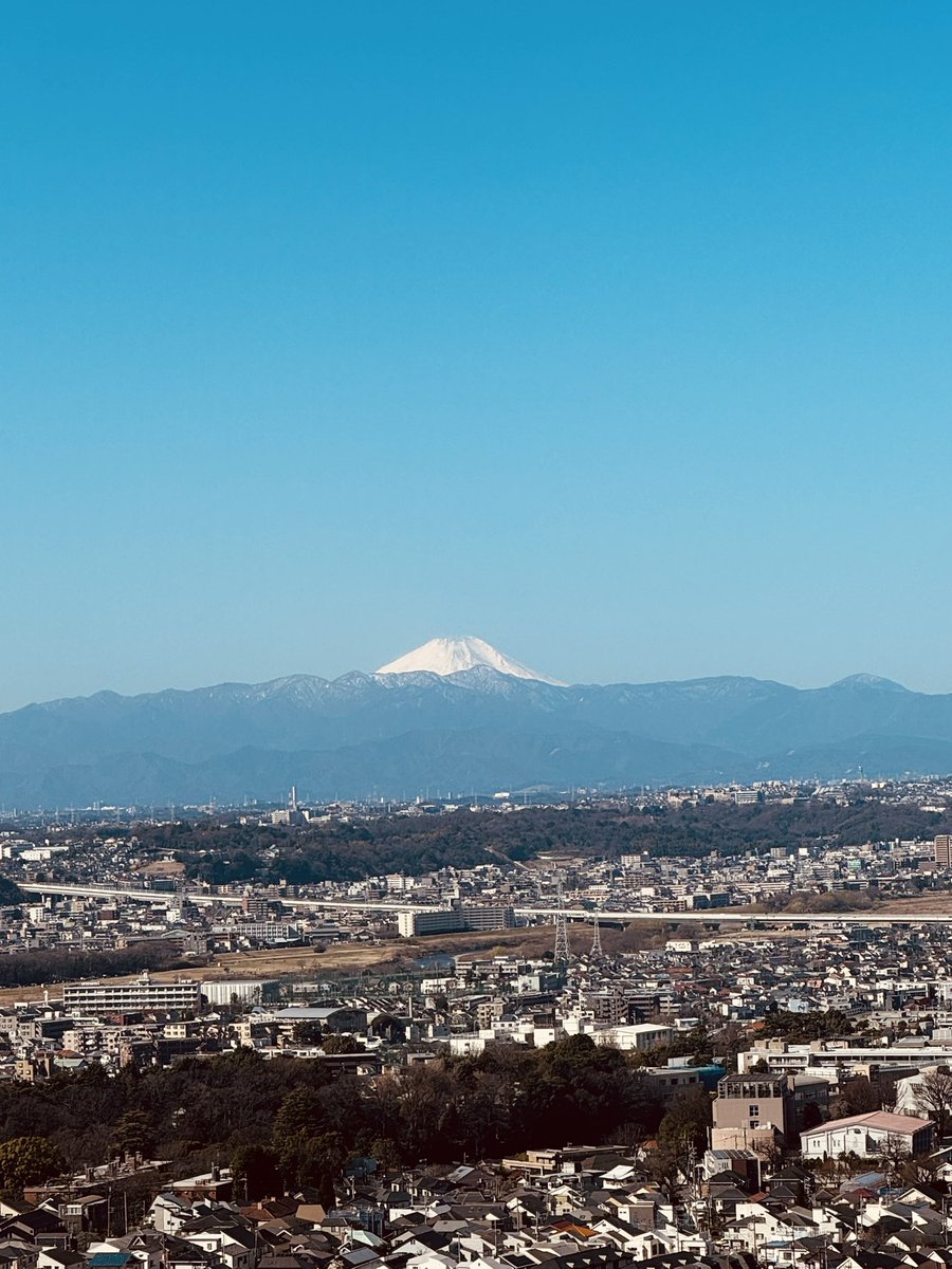 河野智美🐈‍⬛ tweet media