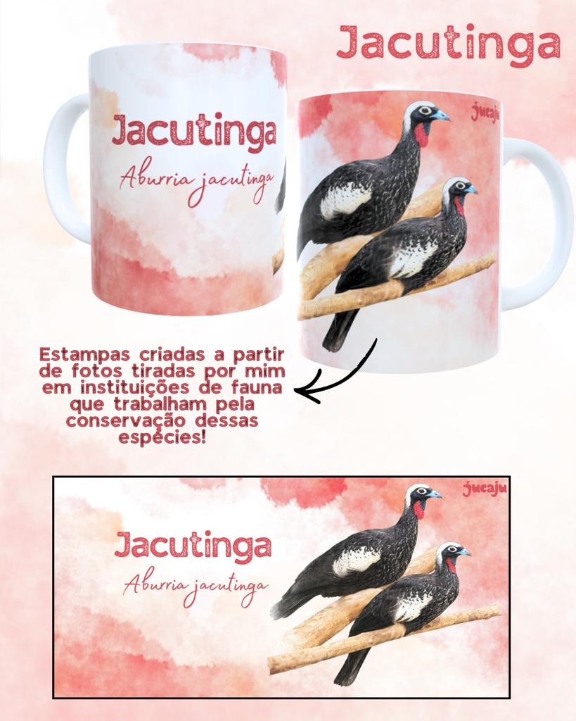 VidaNoZoo's tweet photo. E por último temos a jacutinga, espécie símbolo da Mata Atlântica, jardineira das florestas, que sofre com a perda de seu habitat e caça. Atualmente classificada como Em Perigo (EN) https://t.co/tqlaWffOaC