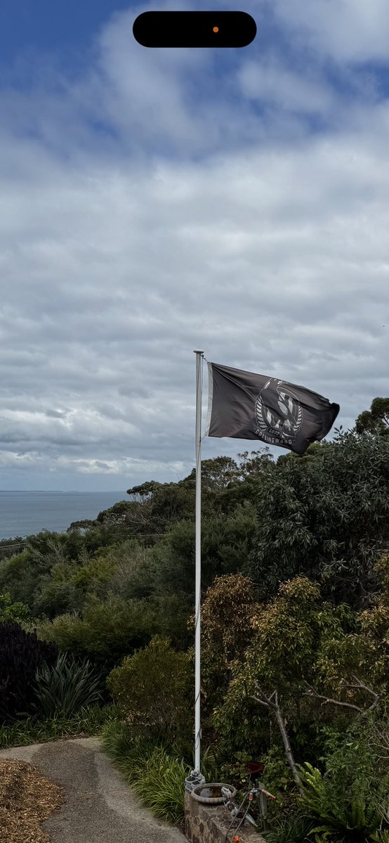 kafla56's tweet image. That time of year again! 
#GoPies