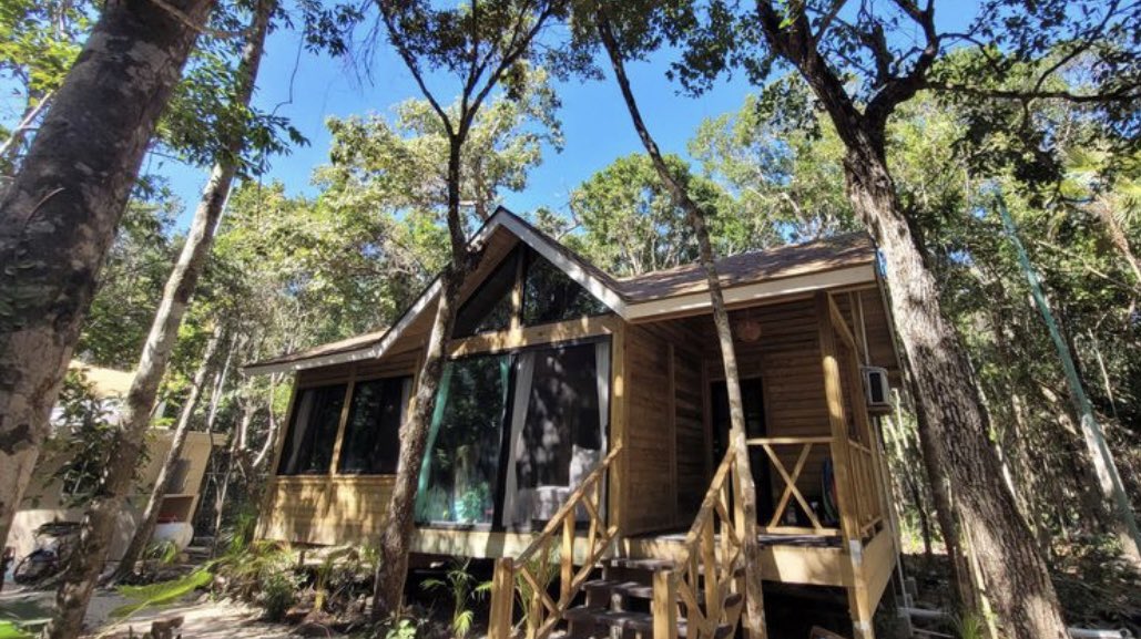 MissM_of_X's tweet photo. $225k for privacy and nature on 2000 m² of titled land in Mexico's Riviera Maya https://t.co/XGjWfx8mrs https://t.co/yp4y7TviBj