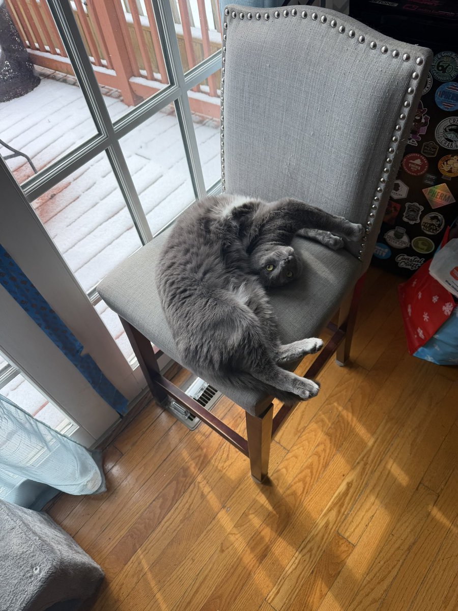 Matt Raines tweet media