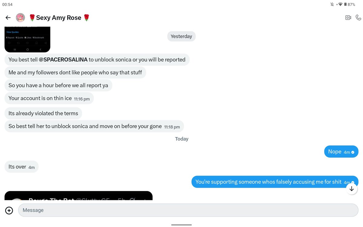 Rouge The Bat tweet media