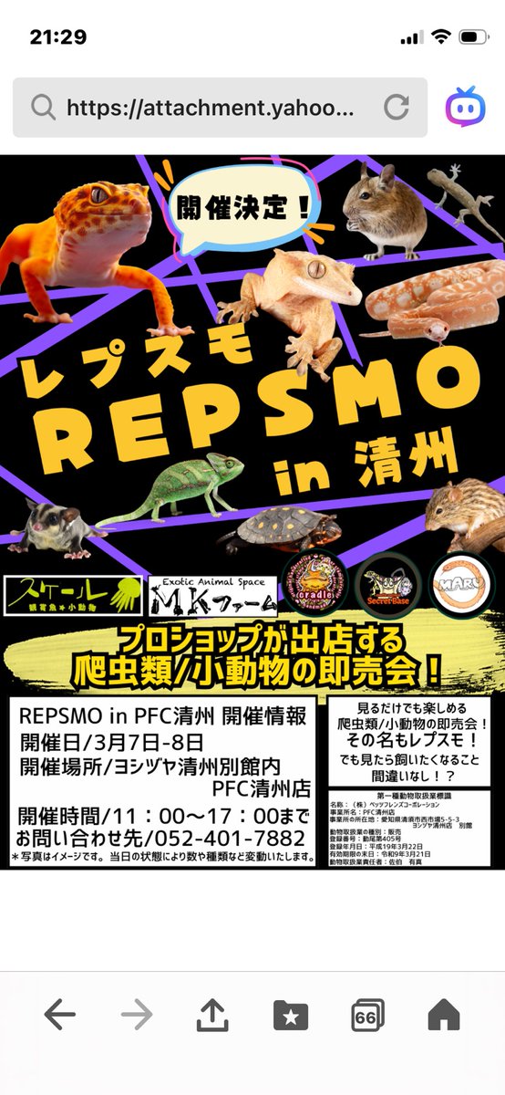 SecretBase tweet media