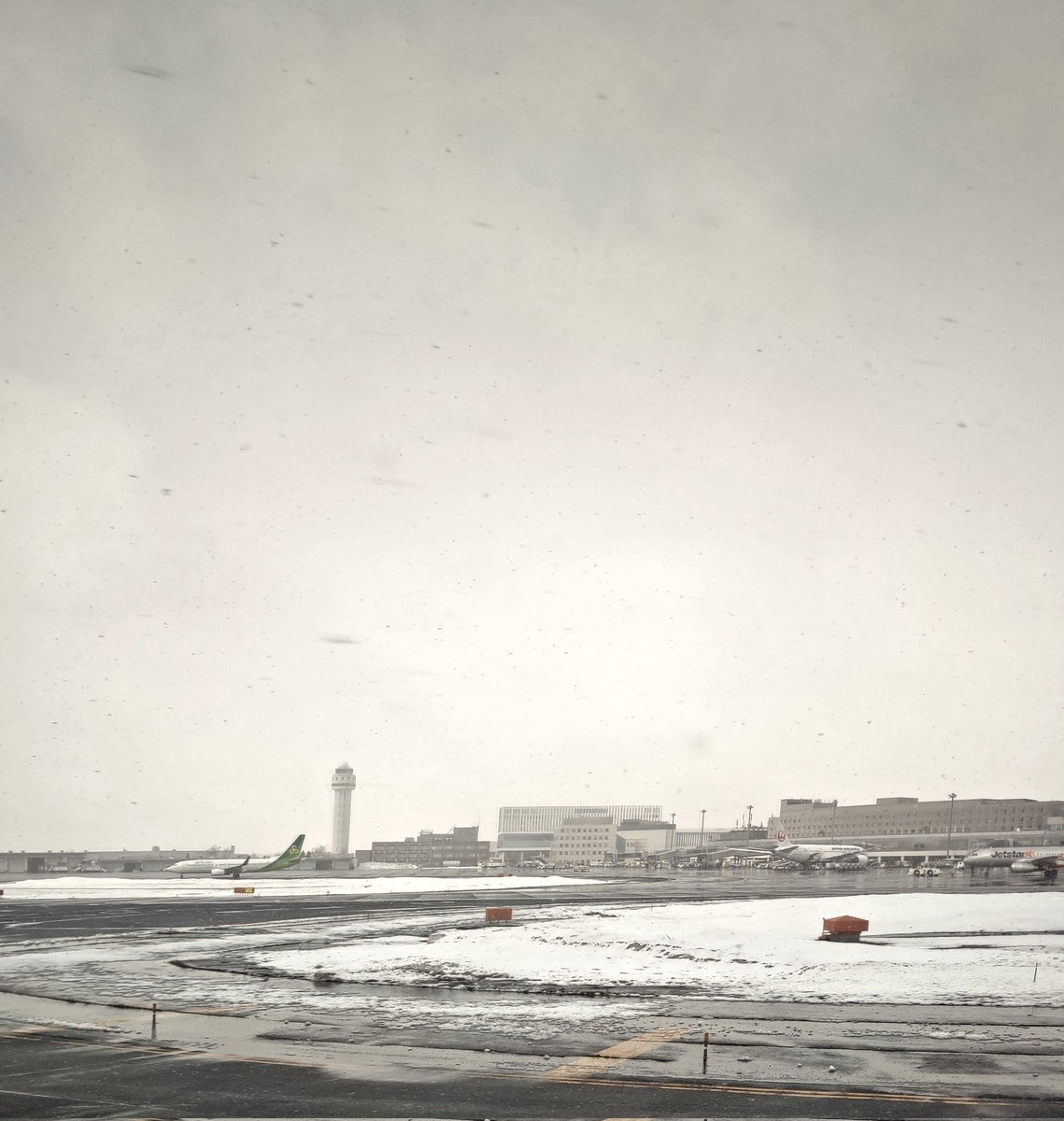 たかぴぃ❤ tweet media