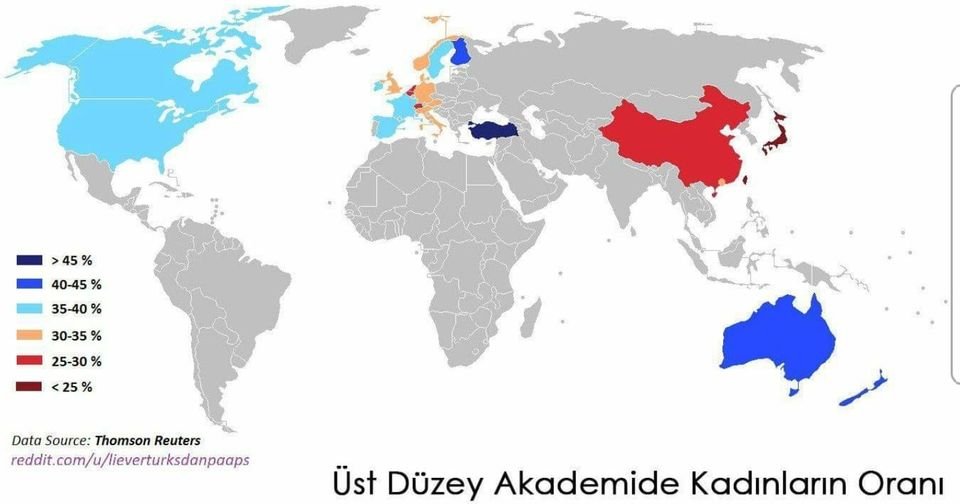 Üst düzey akademide kadınların oranı.